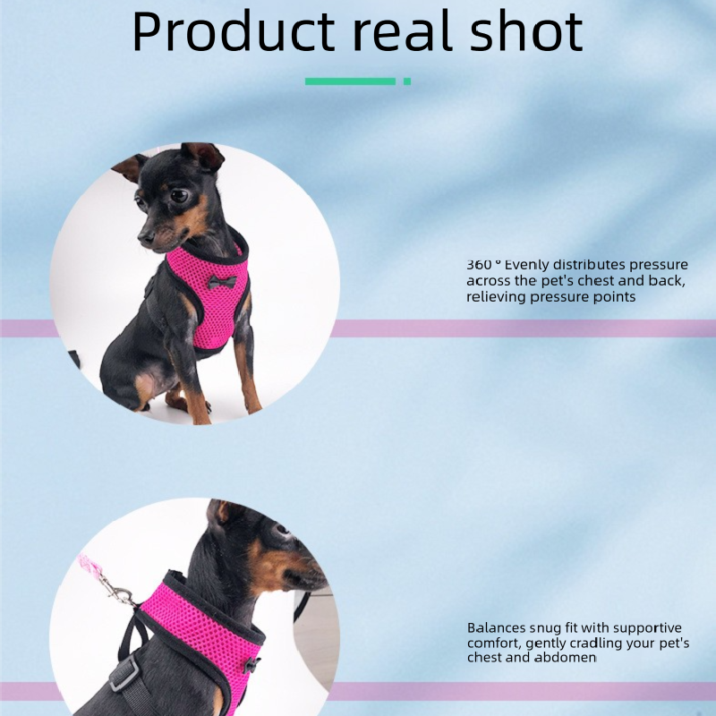 2-Pcs Green Adjustable Pet Harness with Leash – Breathable Mesh Design for Small Dogs, Cats, Chickens, Ducks & More | Anti-Escape, 360° Support, Lightweight & Comfortable in Australia(Size:XS)